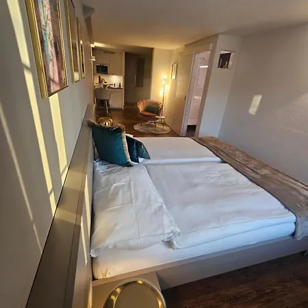 Hotel Pont-de-thielle 3*